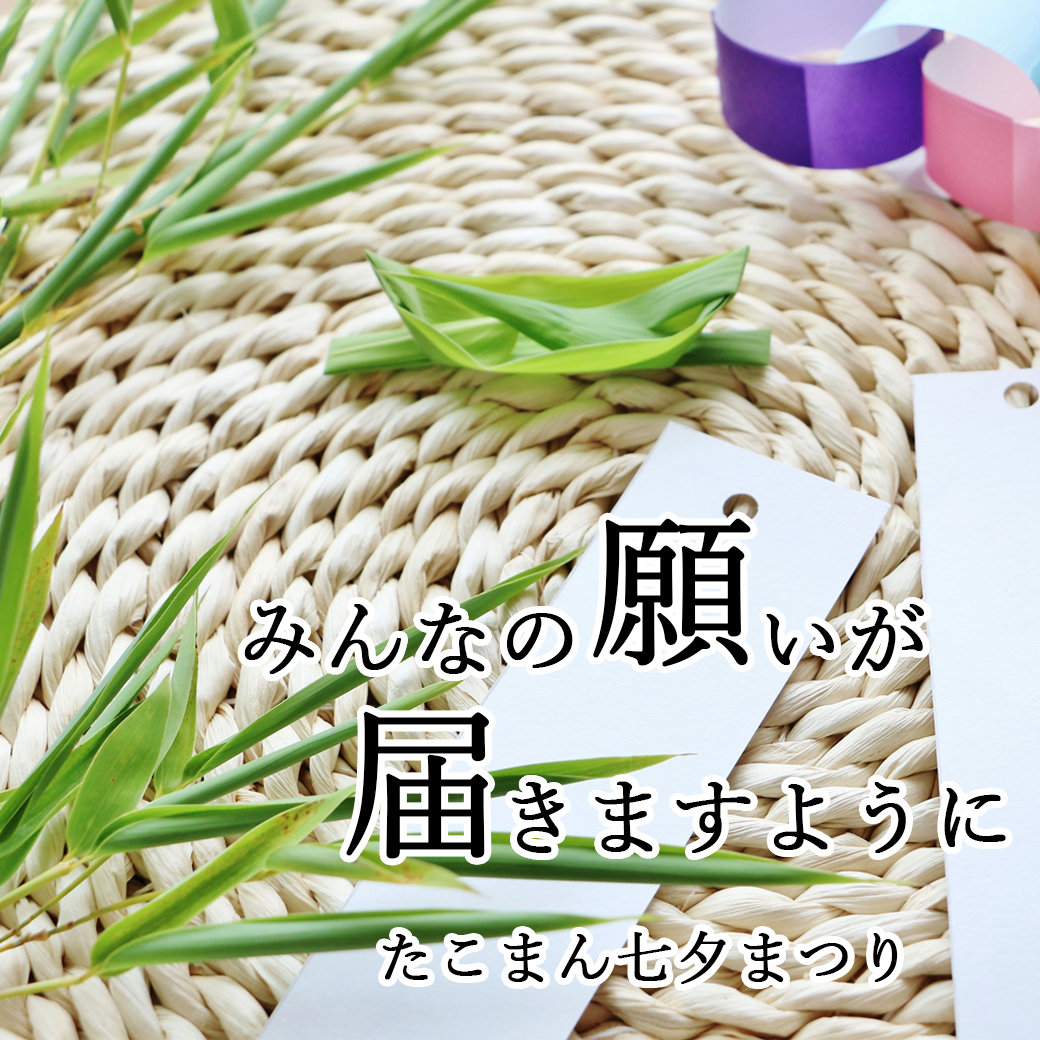 たこまん七夕まつり 星に願いを込めて たこまん公式サイト 清らかな遠州からのおくりもの たこまん七夕まつり 星に願いを込めて たこまん公式サイト 清らかな遠州からのおくりもの