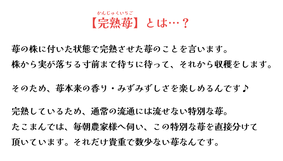 【完熟苺】とは…？苺の株に付いた状態で完熟させた苺のことを言います。
株から実が落ちる寸前まで待ちに待って、それから収穫をします。
そのため、苺本来の香り・みずみずしさを楽しめるんです♪
完熟しているため、通常の流通には流せない特別な苺。
たこまんでは、毎朝農家様へ伺い、この特別な苺を直接分けて
頂いています。それだけ貴重で数少ない苺なんです。