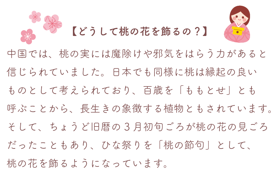 どうして桃の花を飾るの？
中国では、桃の実には魔除けや邪気をはらう力があると信じられていました。日本でも同様に桃は縁起の良いものとして考えられており、百歳を「ももとせ」とも呼ぶことから、長生きの象徴する植物ともされています。
そして、ちょうど旧暦の3月初旬ごろが桃の花の見ごろだったこともあり、ひな祭りを「桃の節句」として、桃の花を飾るようになっています。