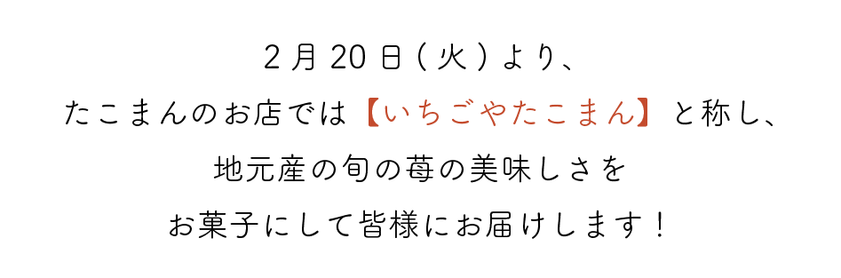 ２月20日(火)より、たこまんのお店では【いちごやたこまん】と称し、地元産の旬の苺の美味しさをお菓子にして皆様にお届けします！