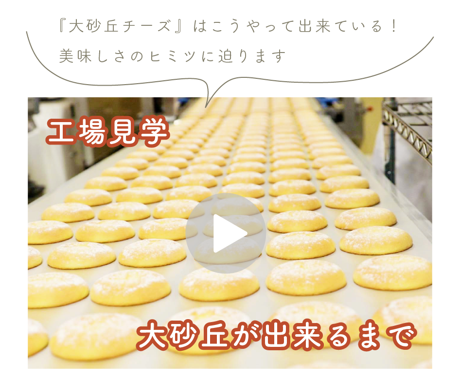 『大砂丘チーズ』はこうやってできている！美味しさのヒミツに迫ります

動画で工場見学しませんか？