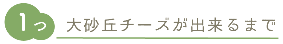 大砂丘チーズが出来るまで